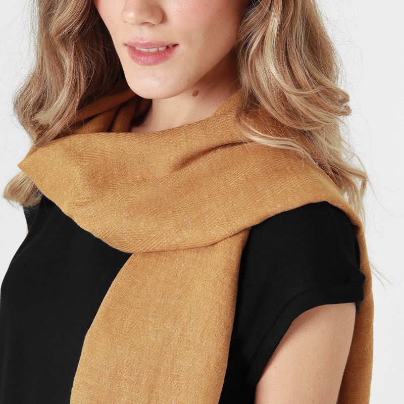 Estola Camel