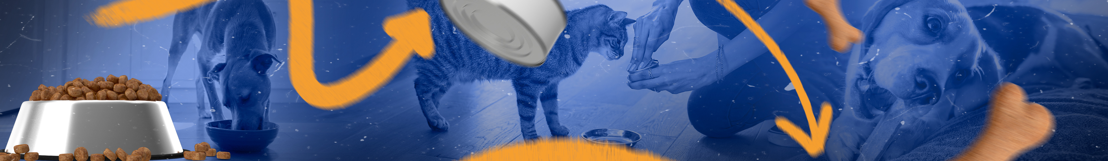 Wider Banner Moda